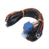 Driving Lamp Wiring Harness