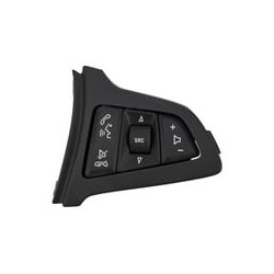 Stuurwielbediening rechts