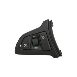 copy of Stuurwielbediening...